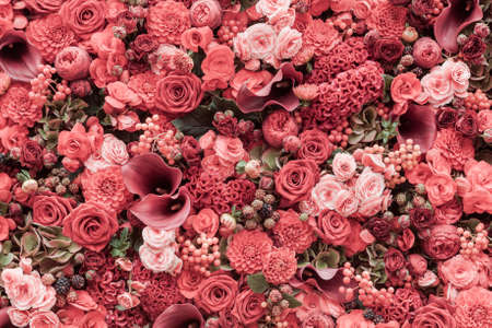 Abstract background of flowers Close-up. Abstract background of flowers Close-up.
