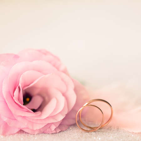 Vintage Sile Wedding Background with Gold Rings and Beautiful Flower Vintage Sile Wedding Background with Gold Rings and Beautiful Flower