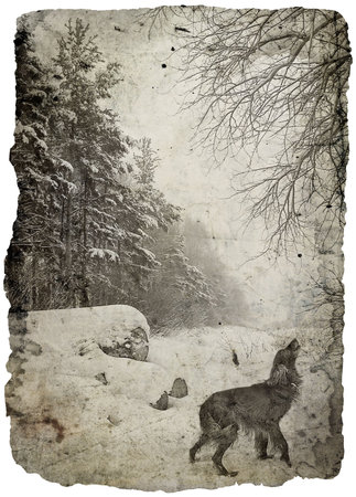 Vintage wintry landscape with a setter