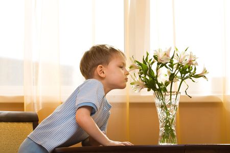 Little boy smells a bouquet の写真素材