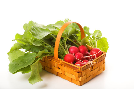 Basket with a garden radishの写真素材
