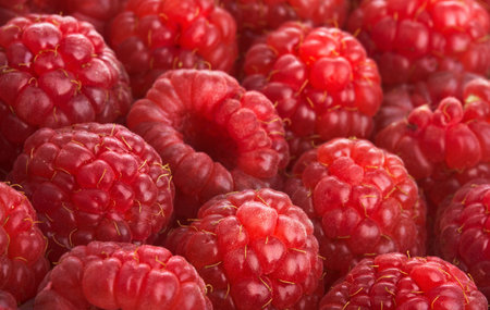 Crop of a red raspberry close up