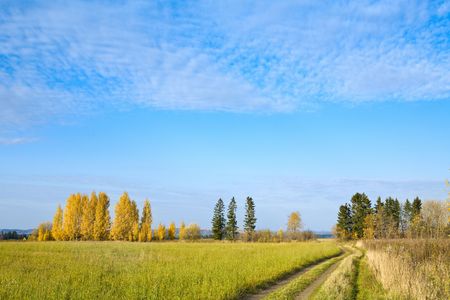 Autumn sunny road in the fieldの写真素材