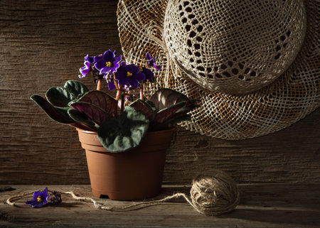 Rural still-life with pansyの写真素材