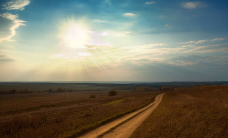Field autumn roadの写真素材