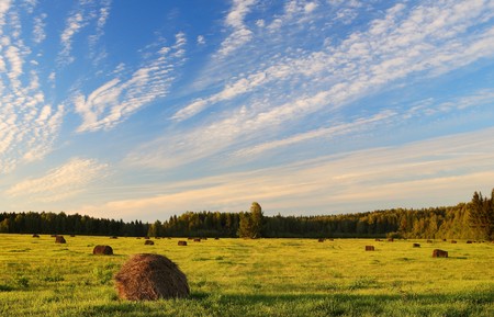 Autumn field with stacksの写真素材