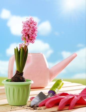 Gardening tools and flowerの写真素材