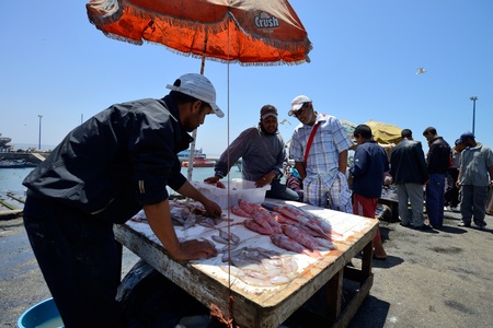 ESSAOUIRA - JULY 15  Unknown man sell fresh fish in harbor of Essaouira, Morocco, July 15, 2013  Essaouira is one of the most popular tourist place on Atlantic coast in Morocco のeditorial素材