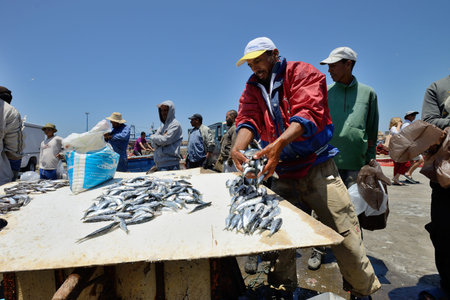 ESSAOUIRA - JULY 15  Unknown man sell fresh fish in harbor of Essaouira, Morocco, July 15, 2013  Essaouira is one of the most popular tourist place on Atlantic coast in Morocco のeditorial素材