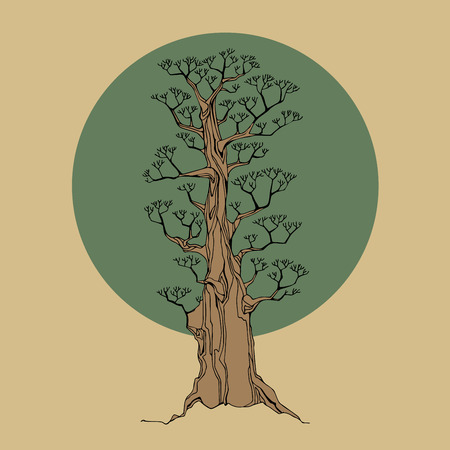 Tree, vector illustrationのイラスト素材