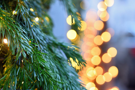 Christmas lights, Christmas decorations on the street, blurred background with Christmas...