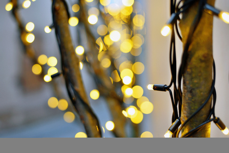 Christmas lights, Christmas decorations on the street, blurred background with Christmas illuminationsの写真素材