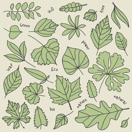Green leaf ecology nature elements, vector illustration.のイラスト素材