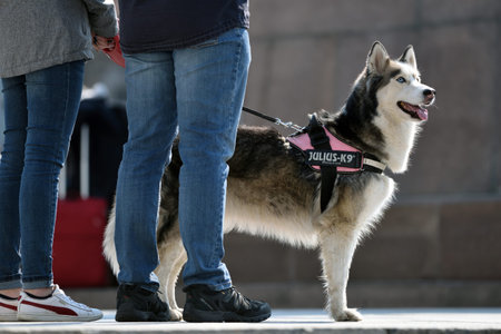 Vilnius, Lithuania - April 06: Unidentified people with dog in Vilnius Old Town on April 06, 2019 in Vilnius Lithuania. Vilnius is the capital of Lithuania and its largest city.のeditorial素材