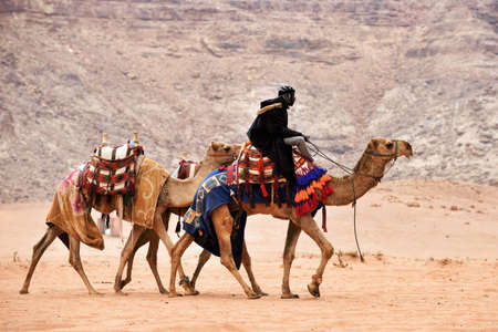 Wadi Rum Village, Jordan - February 19, 2020. Beduin ride a camels in the Wadi Rum desert.のeditorial素材