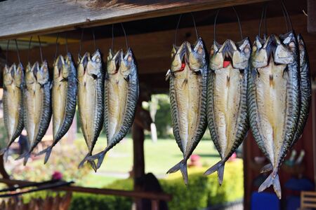 Fish processing plant. Smoking fish filets hanging side by side in a smoker. Preparation Of Organic Food.の写真素材