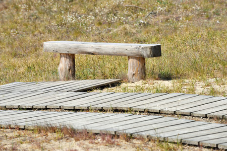 Wooden bench at path leading through dunes at Nagliai nature reserve near Nida, Curonian Spit,...