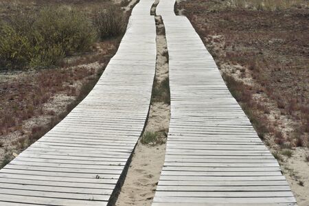 Wooden path leading through dunes at Nagliai nature reserve near Nida, Curonian Spit, Lithuaniaの写真素材
