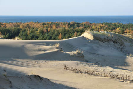 Sandy Grey Dunes at the Curonian Spit in Nida, Neringa, Lithuaniaの写真素材