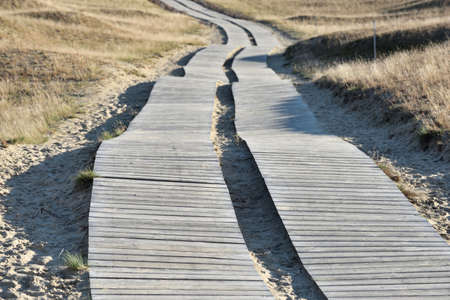 Wooden path leading through dunes at Nagliai nature reserve near Nida, Curonian Spit, Lithuaniaの写真素材