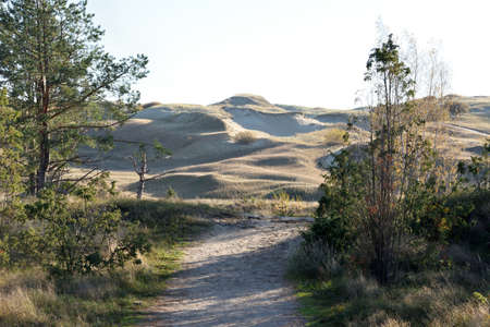Path in to Sandy Grey Dunes at the Curonian Spit in Nida, Neringa, Lithuaniaの写真素材