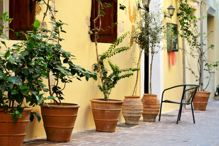 Yellow wall with flowers clay pots at it, Crete island, Greeceの写真素材