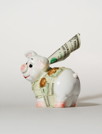 Money-box, looking like a pigの写真素材