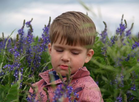 little boy outdoor portrait with meadow flowersの写真素材