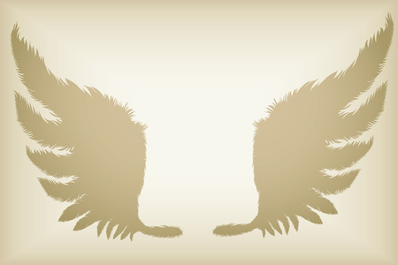 grunge wings of feather silhouette vectorのイラスト素材
