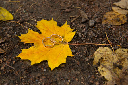 wedding ringsの写真素材