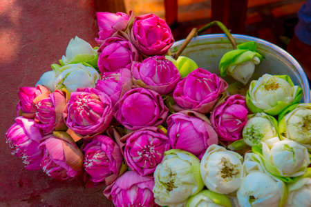 Bright and juicy flowersの写真素材