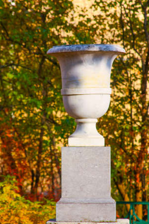 Bright yellow, orange leaves in the Parkの写真素材