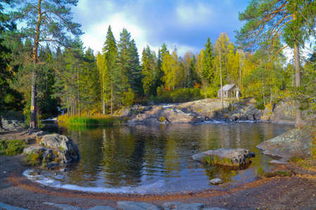 Beautiful landscape in Russia.Yellowed leaves, a forest with green leaves, small streamの写真素材