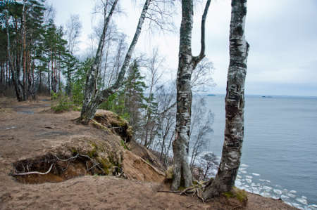 Cloudydark silhouettes of trees with green leaves on the hill blue sea with white small ice cubesの写真素材