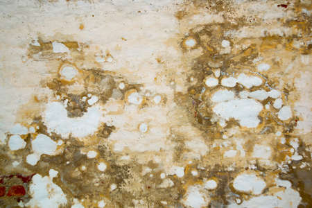 Old wall near the temple, texture templeの写真素材