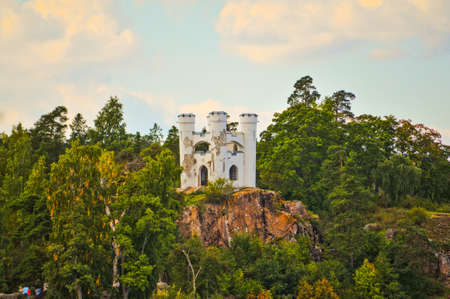 A beautiful pond with trees in a small forestの写真素材
