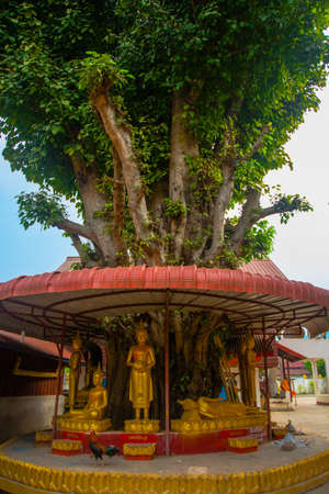Gold decor, a beautiful temple with statues in the small town of Laos.の写真素材