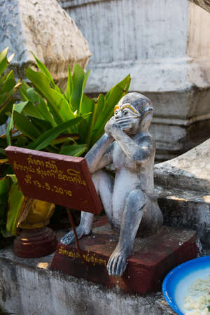 The monkey closed his mouth.Luang Prabang.Laos..Luang Prabang.Laos.の写真素材