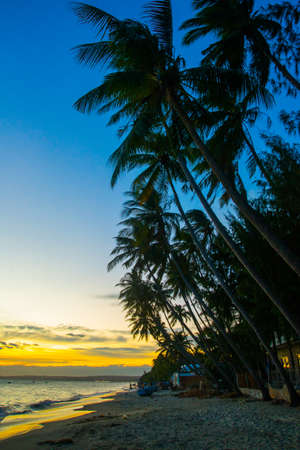 palm trees on the background of a beautiful sunset.Vietnam, Mui Ne, Asiaの写真素材