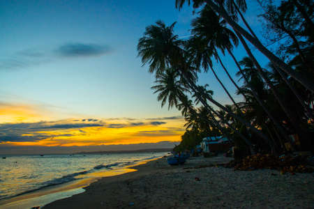 palm trees on the background of a beautiful sunset.Vietnam, Mui Ne, Asiaの写真素材