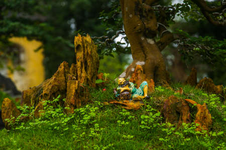 Small tree in a pot,bonsaiの写真素材