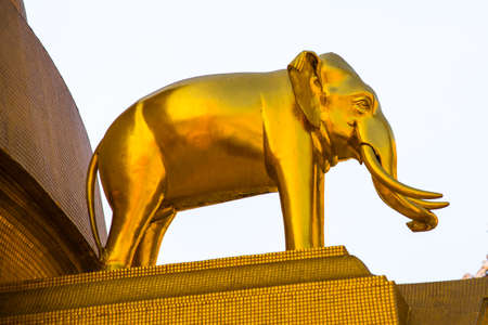 Golden elephant. Sculpture at in the sky.Bangkok, Thailandの写真素材
