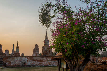 Ancient palaces,ancient building Ayutthaya Thailand.の写真素材