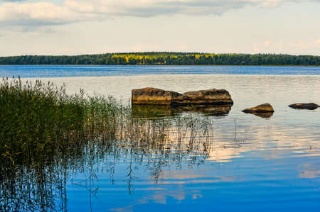 A beautiful pond with trees in a small forestの写真素材