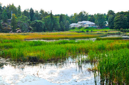 A beautiful pond with trees in a small forestの写真素材