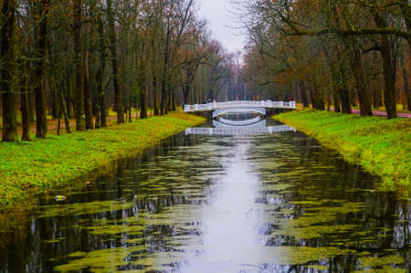 Autumn.Russia,the town of Pushkin, Tsarskoe Selo. Alexander park.の写真素材