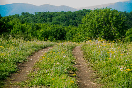 Nature.Summer. The road from the car on a background of mountains.Russia.の写真素材