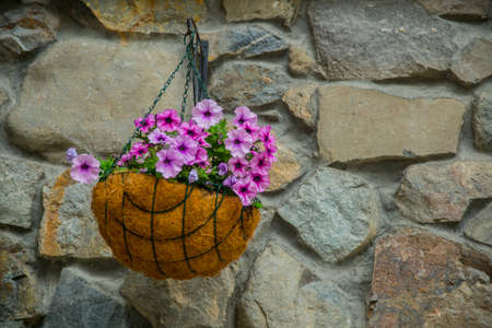 Red flowers in round pot on stone wall background.The monastery of stone.A window on stone wall background.Red flowers in a pot.Caucasus.Russia.の写真素材