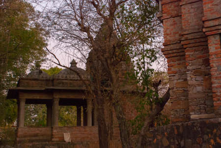The old stone temple. Fragments of walls,sculptural details that adorn the temple. Udaipur, Indiaの写真素材