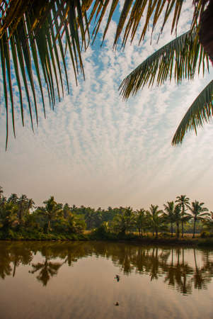 Trees reflected in the water. Beautiful scenery, Goa. India.の写真素材